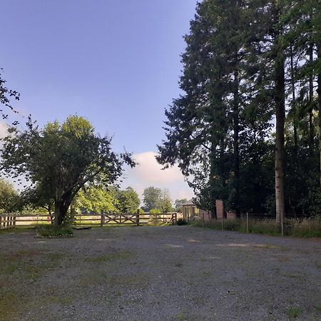 Les Gites Du Chateau De Maltot Saint-Ouen-du-Breuil Bagian luar foto